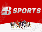 B体育·(中国)官方网站-手机版app下载